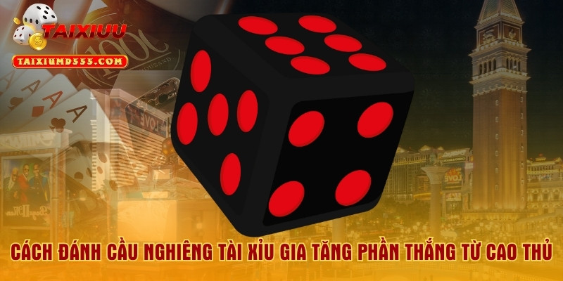 Cách Đánh Cầu Nghiêng Tài Xỉu Gia Tăng Phần Thắng Từ Cao Thủ